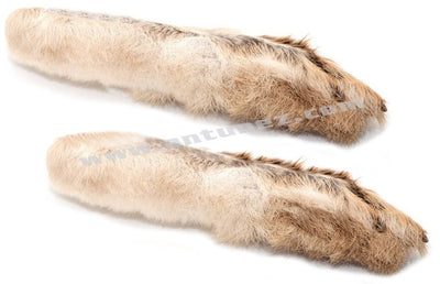 Pata de Liebre Artica PLA