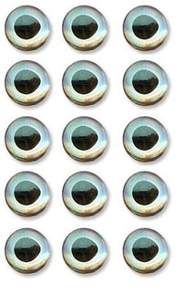 Ojos 3D Adhesivos Pupila Oval