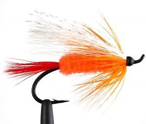Polar Salmon SL31