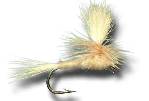 Light Cahill Parachute S125