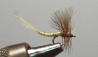 Extendida Pato Amarillenta S144