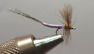 Extendida Pato Violeta S146