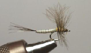 Extendida Pato Gris S148