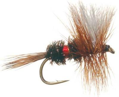 Royal Wulff S36
