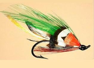 RNP Salmon SL5