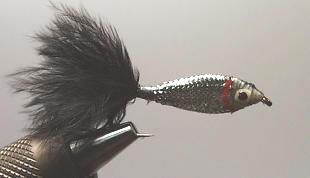 Black Minnow ST86