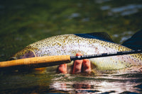 Caña Redington Strike Competición