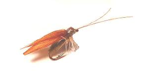 Tricóptero Beta T154