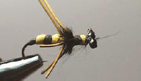 Avispa TE36