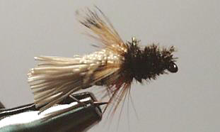 Cicada TE37