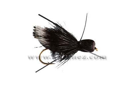 Bullet-Head Cricket Foam TE69