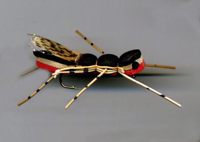 Terrestre Foam  TE81