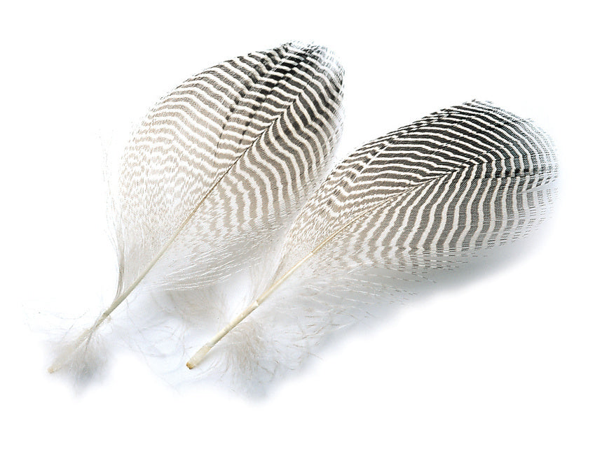 Plumas de Pato Teal Duck Flank 2g.