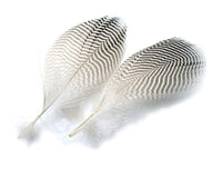 Plumas de Pato Teal Duck Flank 2g.