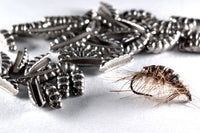 Cuerpos de Tungsteno Ninfas