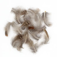 Plumas Perdiz Pardilla