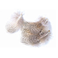 Plumas Perdiz Pardilla