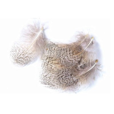 Plumas Perdiz Pardilla