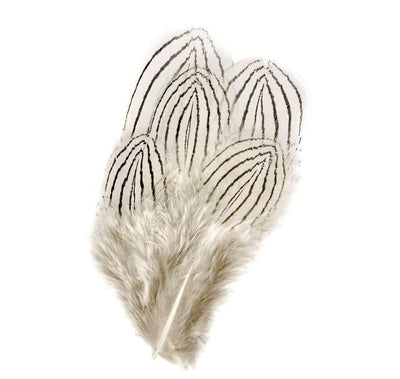 Plumas Silver Pheasant Body
