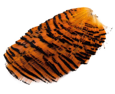 Tippet Collar Faisan Dorado 1ª Calidad
