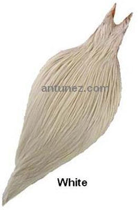 Cuellos Whiting Bronce